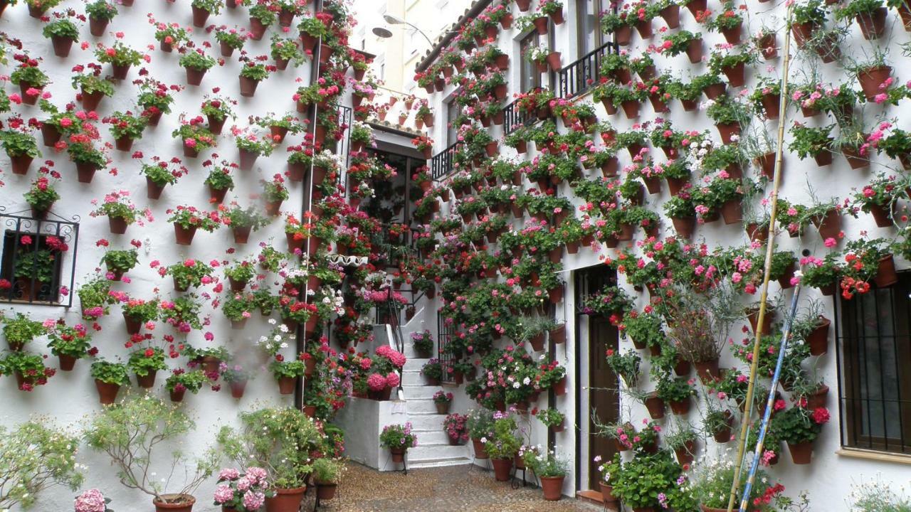 El Balcon De La Mezquita Διαμέρισμα Κόρδοβα Εξωτερικό φωτογραφία